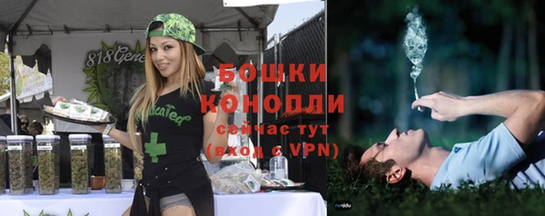 PSILOCYBIN Медвежьегорск